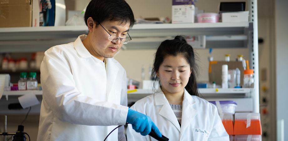 Jie Hui (left), a researcher at the Boston University Photonics Center, is working on a blue laser treatment for MRSA.