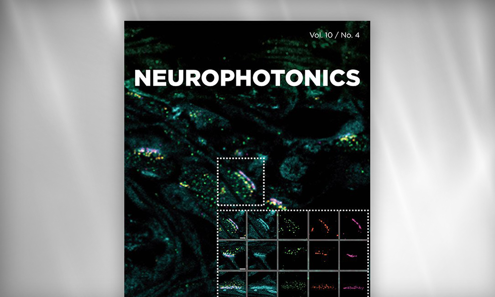 Neurophotonics cover from SPIE