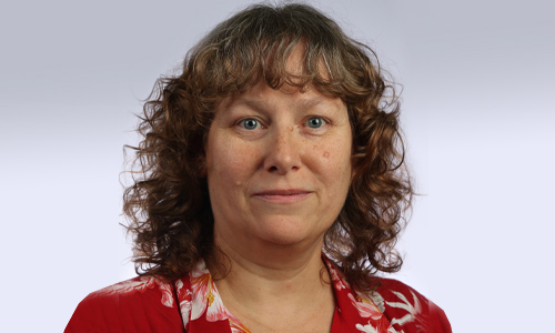 Alison Peck (she/her), Program Director, NSF