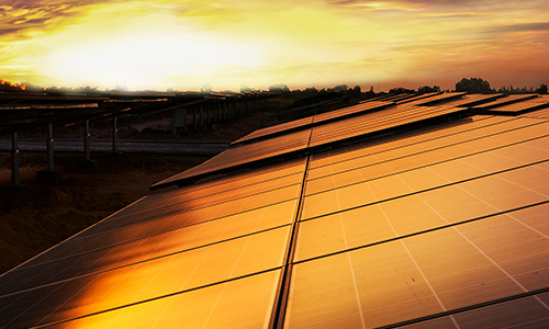 Golden yellow light reflects off solar panels