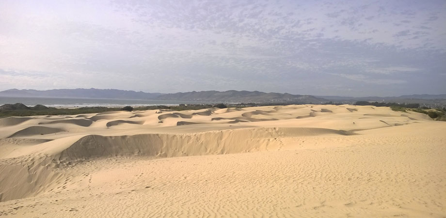 The rolling sand dunes near Pismo Beach