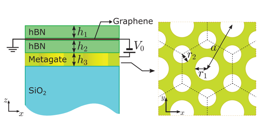 Schematic of the graphene platform used