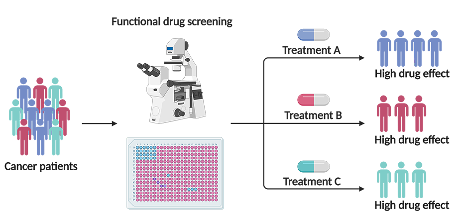 functional drug screening