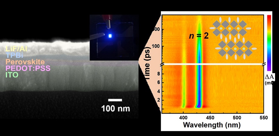 Scanning electron microscopy image with digital photograph during operation (left) and transient absorption spectrum (right) of deep-blue emitting perovskite light-emitting diodes (LEDs) prepared by hot-antisolvent bathing