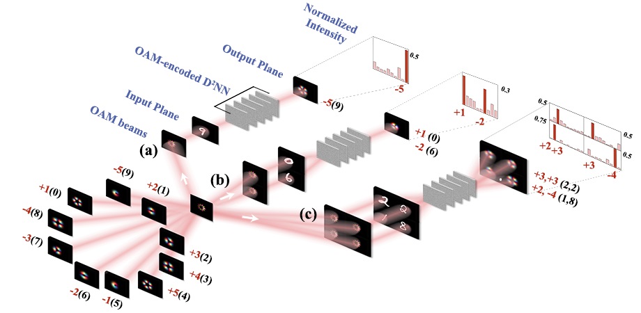 Orbital-angular-momentum-encoded diffractive network