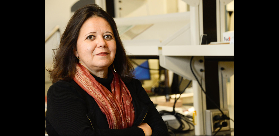 Zoubeida Ounaies, professor of mechanical engineering and director of the Convergence Center for Living Multifunctional Materials (LiMC2) at Penn State